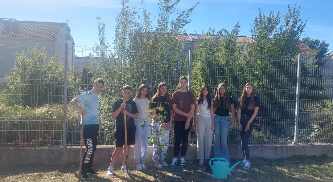 Peta generacija osmaša zasadila svoje stablo