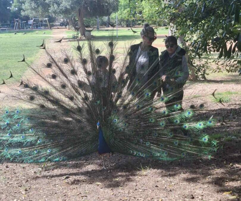 “Mali istraživači Posebnog odjela na putu: Lokrum, Grad i Akvarij”