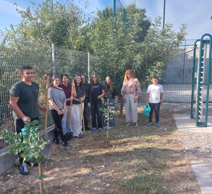 Šesta generacija osmaša zasadila svoje stablo